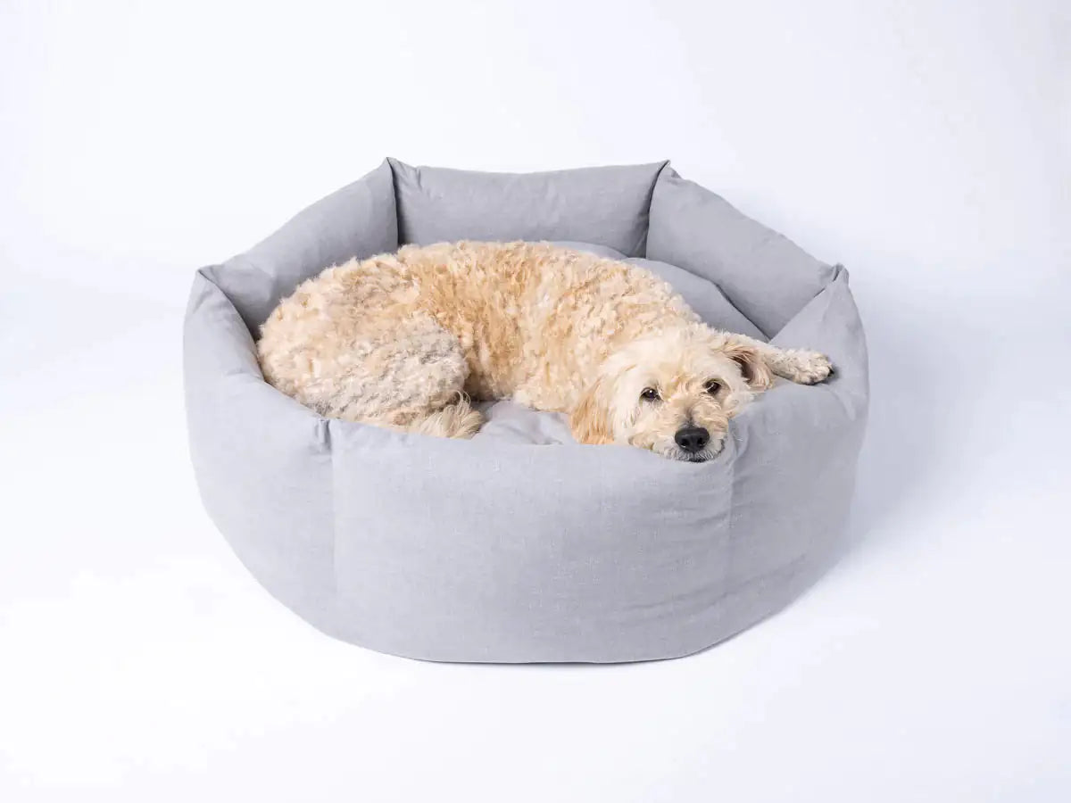 Cama relajante para perros Cozy Paws