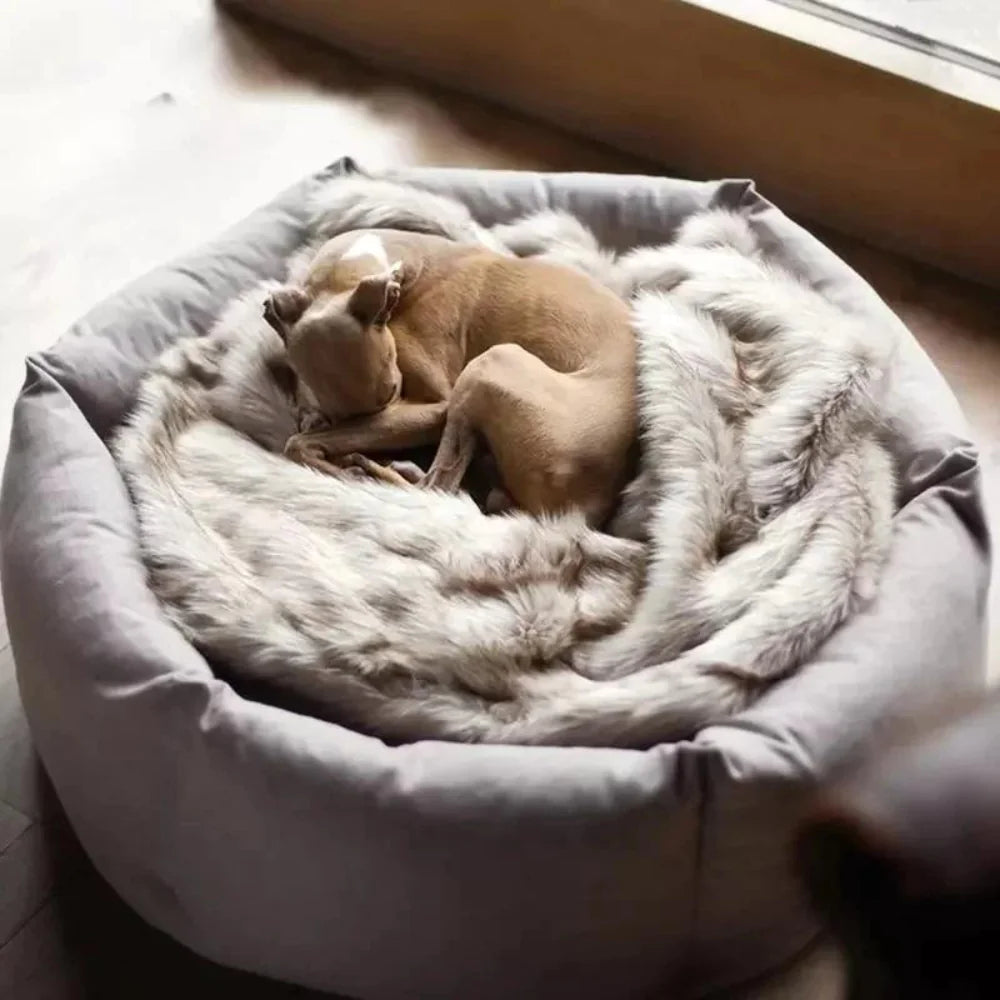Cama relajante para perros Cozy Paws