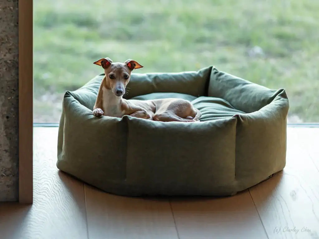 Cama relajante para perros Cozy Paws